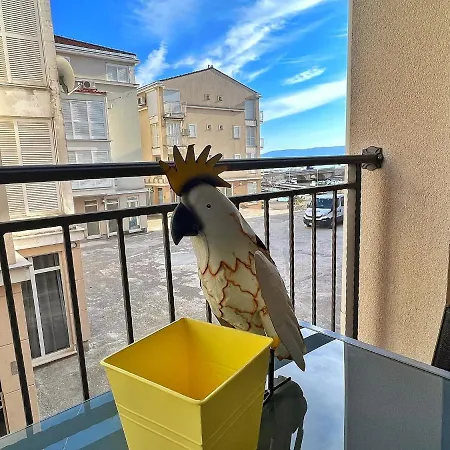 Marina Mel * Novi Vinodolski