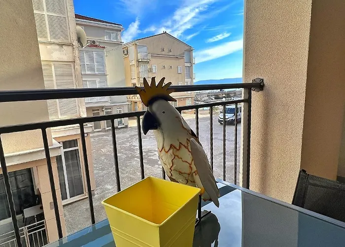 Marina Mel * Novi Vinodolski